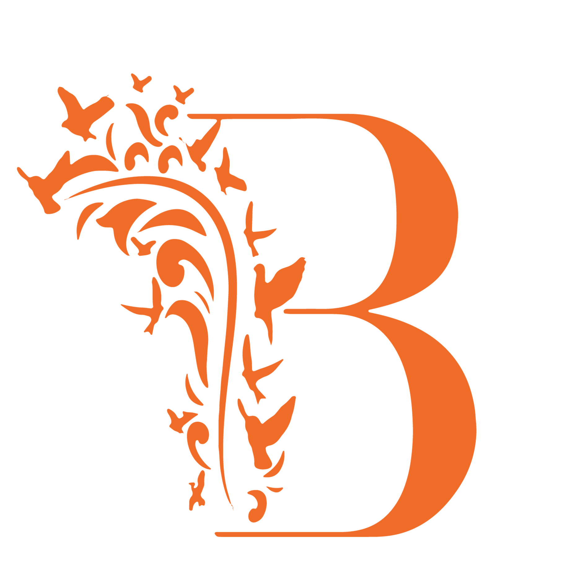 cropped-Birds-colors-new-logo.png